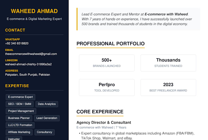 digital marketing professional services